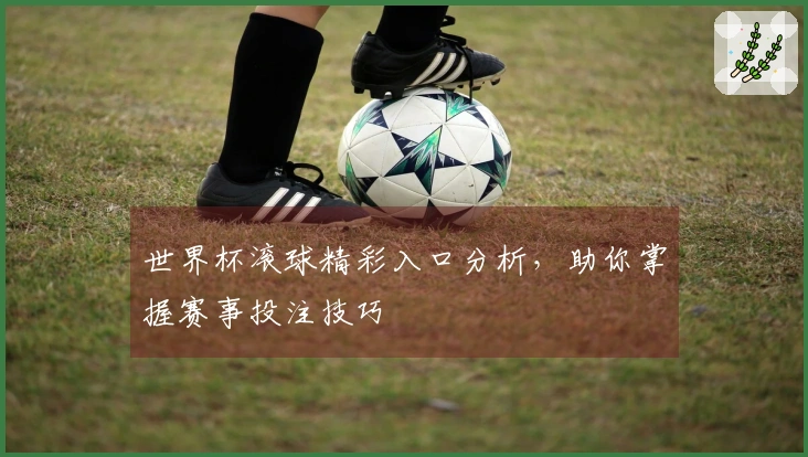 世界杯滚球精彩入口分析，助你掌握赛事投注技巧