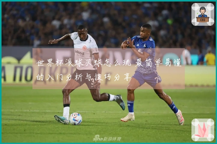 世界杯滚球买球怎么玩 最简单易懂的入门分析与技巧分享