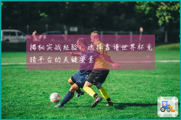 揭秘实战经验，选择靠谱世界杯竞猜平台的关键要素