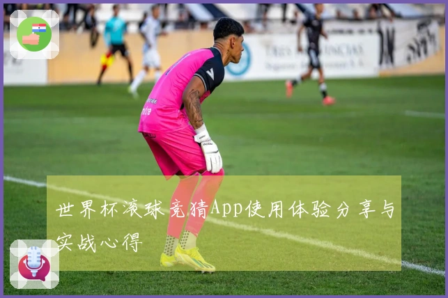 世界杯滚球竞猜App使用体验分享与实战心得
