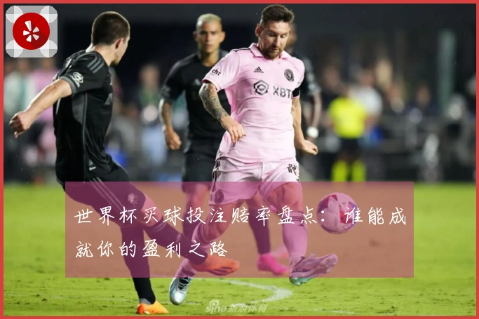 世界杯买球投注赔率盘点：谁能成就你的盈利之路