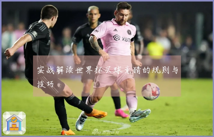 实战解读世界杯买球竞猜的规则与技巧