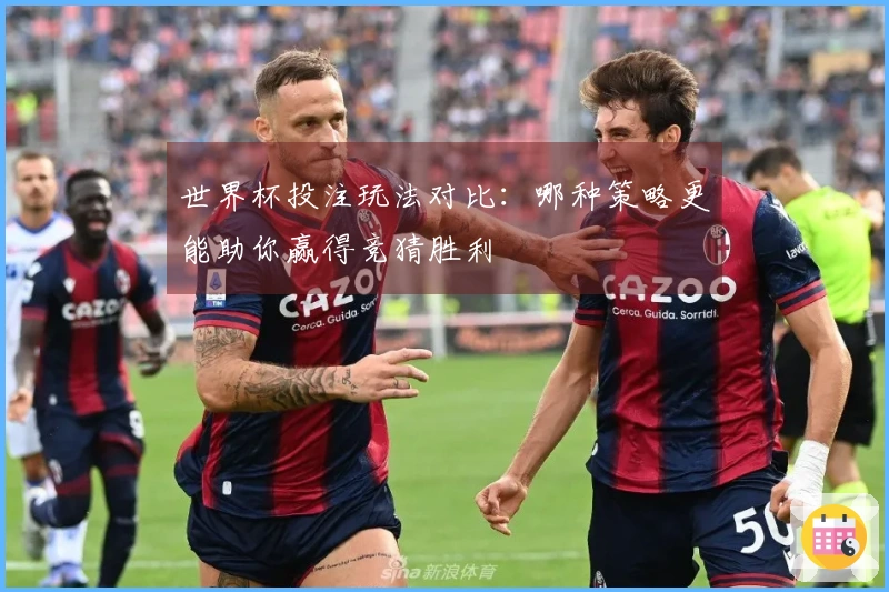 世界杯投注玩法对比：哪种策略更能助你赢得竞猜胜利