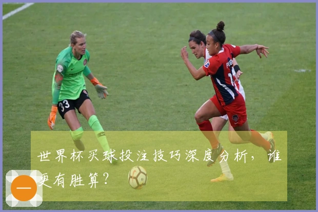 世界杯买球投注技巧深度分析，谁更有胜算？