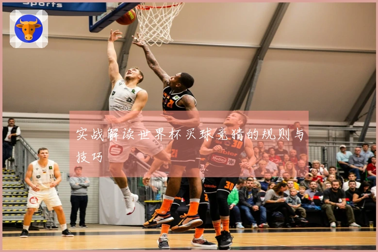 实战解读世界杯买球竞猜的规则与技巧